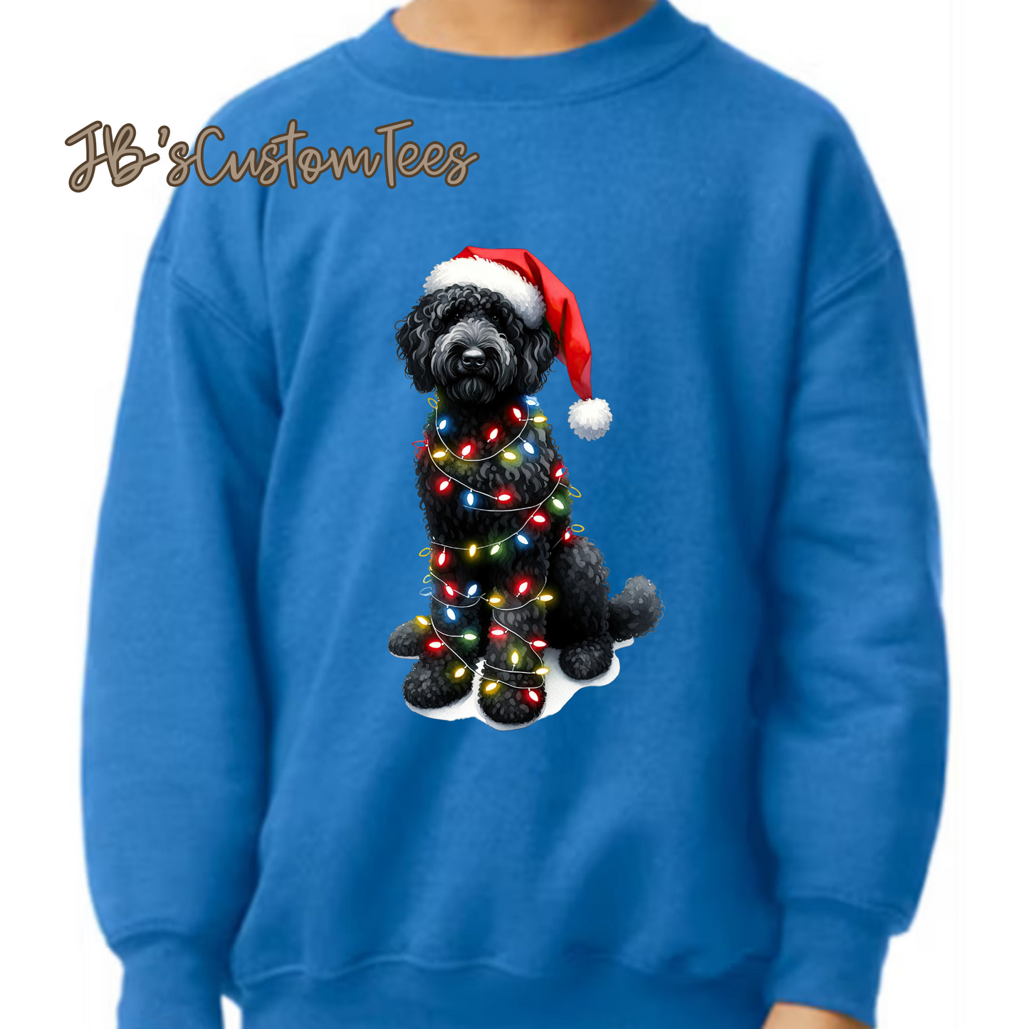 Youth Christmas Doodle Royal Sweatshirt