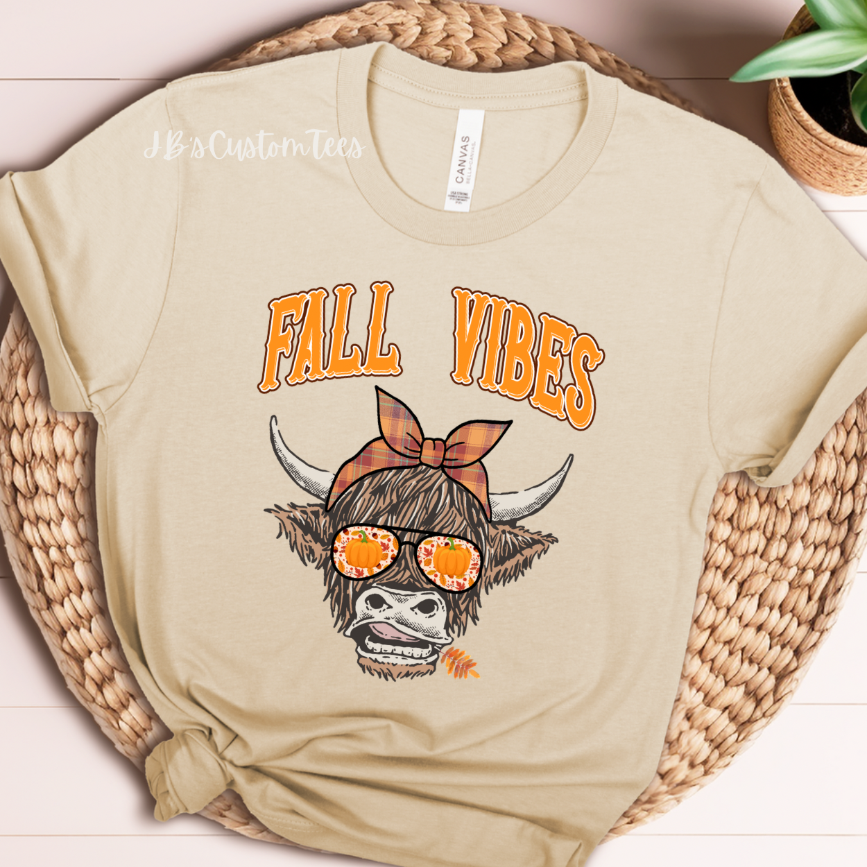 Fall Vibes Tee/Sweatshirt