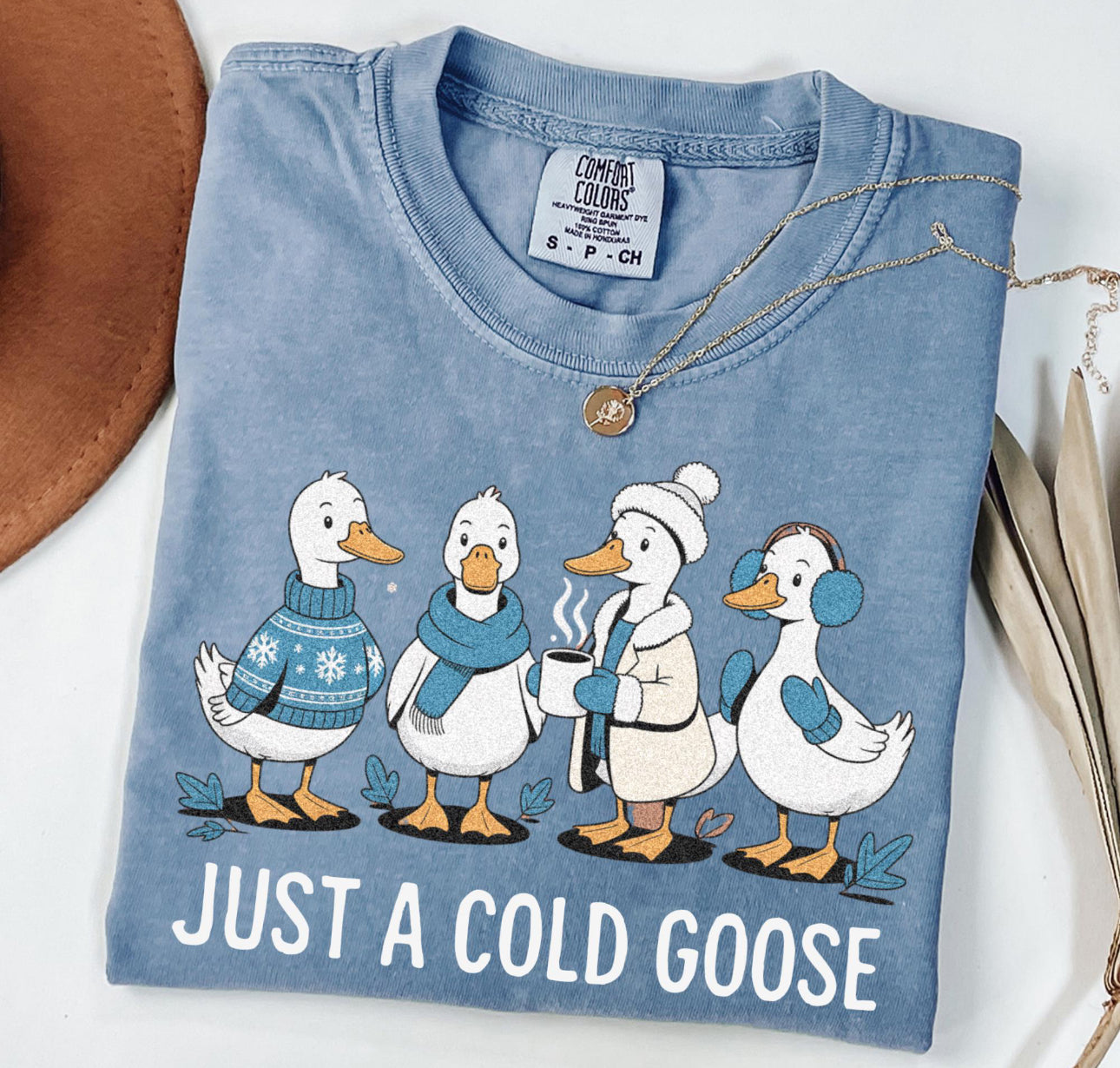 Just a cold goose!