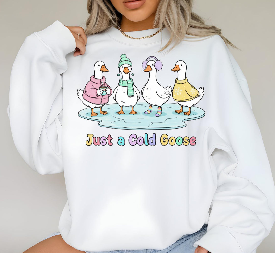 Just a cold goose!!