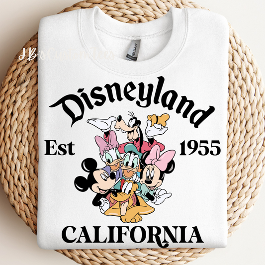 Disneyland California Est 1955 Youth Sweatshirt